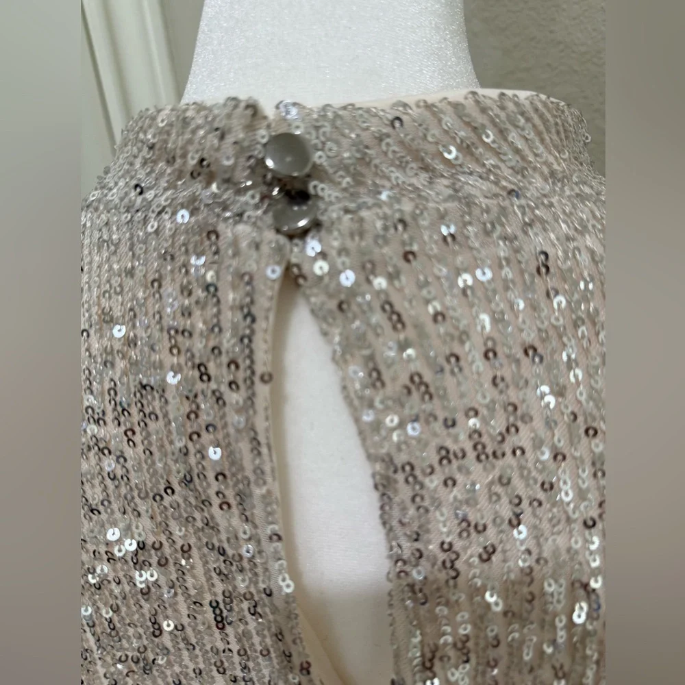 Halogen Sequins Silver Dress with Cream Lining, XL - Picture 3 of 11
